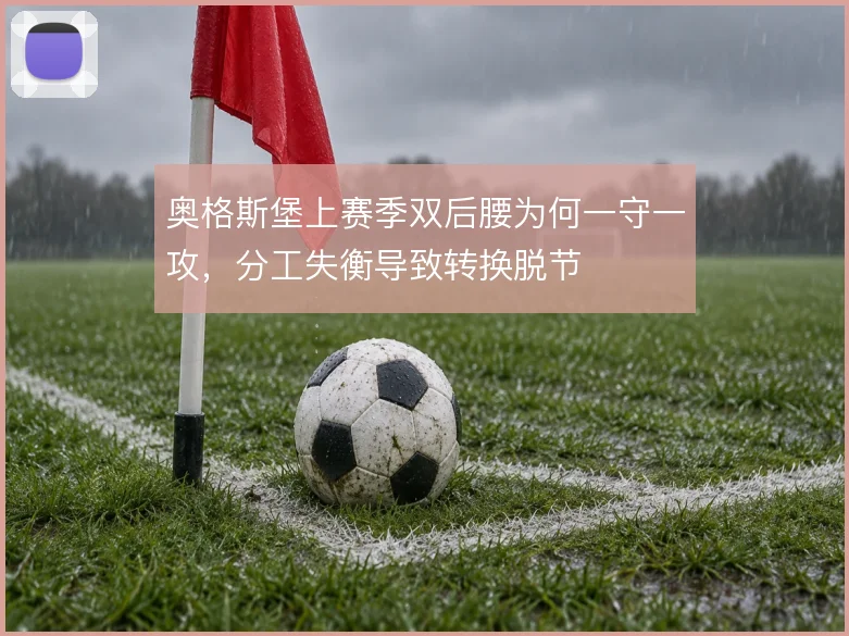 奥格斯堡上赛季双后腰为何一守一攻,分工失衡导致转换脱节